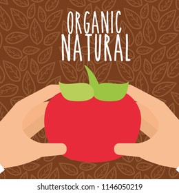 food organic nature