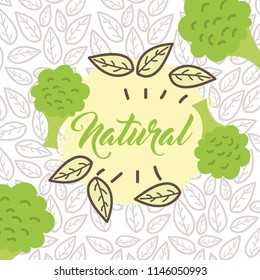 food organic nature