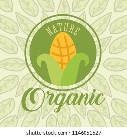 food organic nature