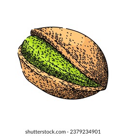 mano de nuez de pistacho de comida dibujada. boceto orgánico asado, concha sana, boceto vectorial de nuez de vástago de alimento de pila cruda. ilustración de color aislado