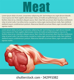 Food poster with fresh meat  illustration