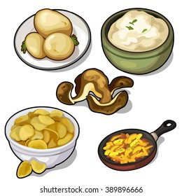 Food from potatoes. Food isolated on a white background. Vector.