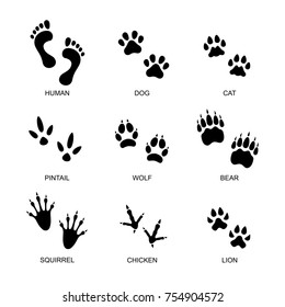 food print human & animal set vector illustration