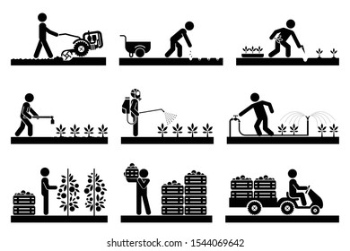 Food production. Pictogram icon set presenting different stages in agricultural process and gardening. Icon set presenting gardening, plowing, sowing, watering, picking, palletisation and warehousing,