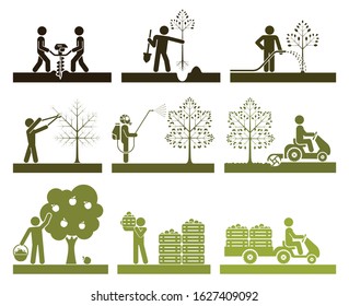 Food Production. Pictogram Icon Set Presenting Different Stages In Fruit Growing Process. Icon Set Presenting Orcharding, Plowing, Sowing, Watering, Picking, Spraying Fruit And Transporting. 