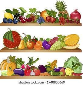 Food products on the shelves.Vegetables, fruits and berries on wooden shelves in color vector illustration.