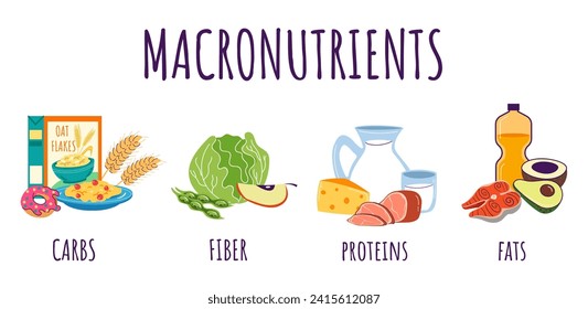 Food protein carbohydrate fiber nutrition macronutrients infographic concept. Vector graphic design illustration