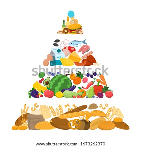 Food pyramid vector isolated. Bread and cereal on the lowest level. Fruits and vegetables on second floor. Dairy products, fish and meat. Fats on the highest level. Oil and junk food.