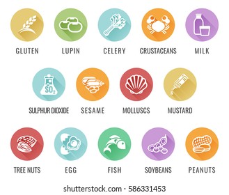 Food safety allergy icons including the 14 allergies outlined by the EU European Food Safety Authority which encompass the big 8 FDA Major Allergens