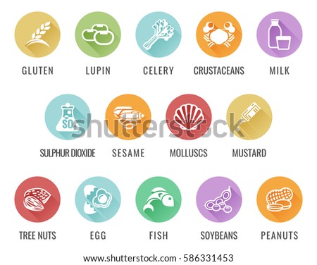 Food safety allergy icons including the 14 allergies outlined by the EU European Food Safety Authority which encompass the big 8 FDA Major Allergens Foto d'archivio © 