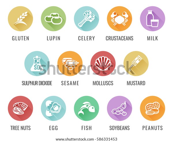 Food Safety Allergy Icons Including 14 Stock Vector (Royalty Free ...