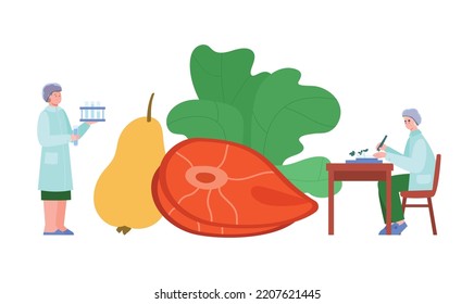 Food safety concept, scientists analyzing food in laboratory - flat vector illustration isolated on white background. HACCP test of meat, fruits and vegetables. People with flasks doing research.