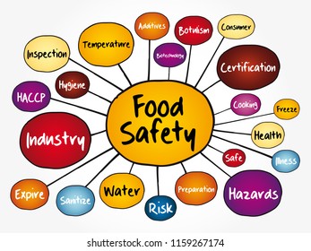 Food safety mind map flowchart, concept for presentations and reports