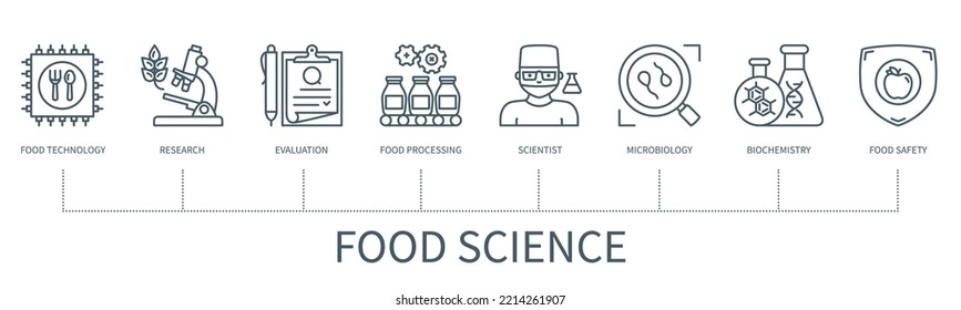 Konzept der Lebensmittelwissenschaft mit Symbolen. Lebensmitteltechnologie, Forschung, Bewertung, Lebensmittelverarbeitung, Wissenschaftler, Mikrobiologie, Biochemie, Lebensmittelsicherheit. Web-Vektorgrafik in minimalem Umriss-Stil