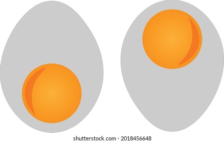 Food series vector, vector of eggs with shiny yellow. Great for icons, symbols or signs