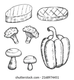 food set sketchy silhouettes vector.