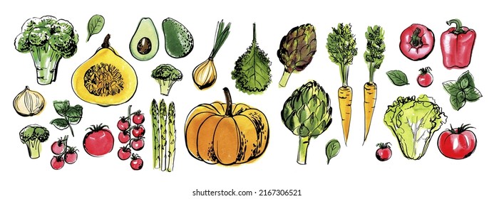 Food sketch vector ink watercolor. Vegetables Broccoli, artichoke, carrot, onion