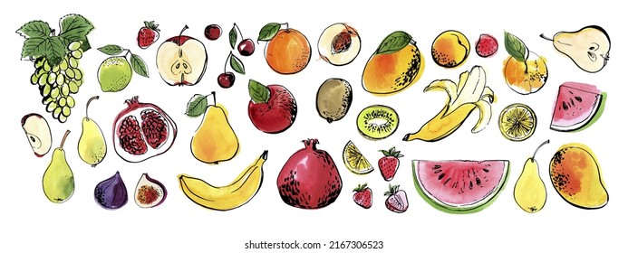 Food sketch vector ink watercolor. Fruit Grapes, watermelon, pomegranate, mango, figs, kiwi, strawberries, cherries