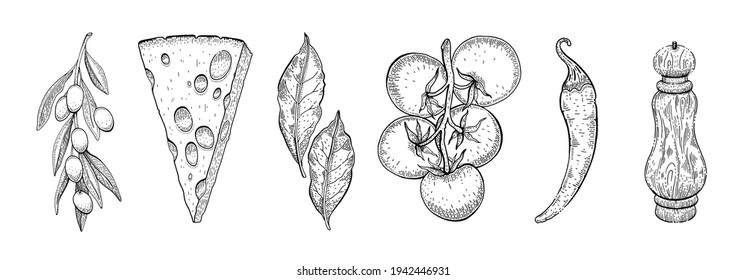 Food sketch. Vegetable and spice. Pepper, bay leaf, cheese, chili, tomato, rosemary for pizza, pasta. Vintage vector illustration. Hand drawn plant on white background. Line italian food icon set