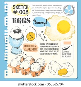 Food sketchbook with chicken and quail eggs,  boiled and fried . Set of hand drawn organic food. Vector illustration with sketch. Black and white.