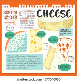 Food sketchbook with set of different noble cheeses. Bar of cheese. Vector illustration with sketch food. Fresh organic food.