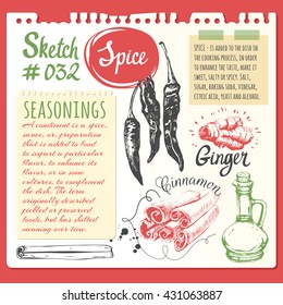 Food sketchbook with sketches of spices. Notepad sheet. Vector illustration with hand-drawn cinnamon, pepper, ginger and oil.