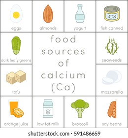 Food sources of calcium, vector flat food icons for infographic