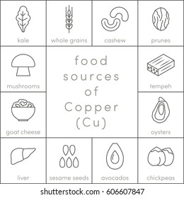 Food sources of copper, vector outline food icons for infographic