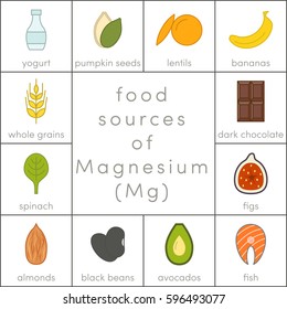 Food sources of magnesium, vector flat food icons for infographic