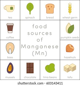Food sources of manganese, vector flat food icons for infographic
