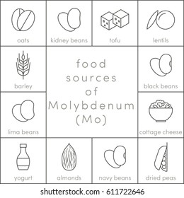 Food sources of molybdenum, vector outline food icons for infographic