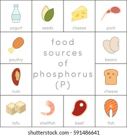 Food sources of phosphorus, vector flat food icons for infographic