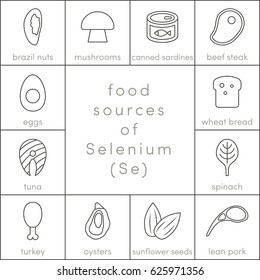 Food sources of selenium, vector outline food icons for infographic