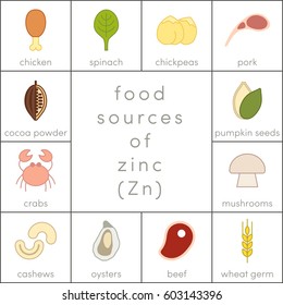 Food sources of zinc, vector flat food icons for infographic