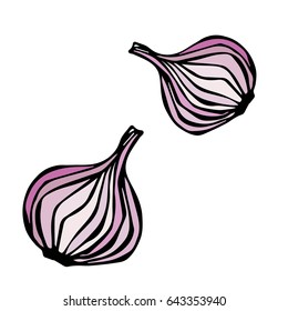Food and Spice Vector Illustration Red Onion Cut Slice .