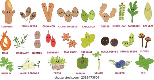 colección vectorial de especias alimentarias, vector aislado de especias indias, conjunto de recogida de hierbas