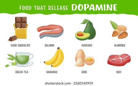 Food that naturally help release dopamine, a neurotransmitter responsible for enhancing mood, motivation, happiness. Landscape poster, banner. Useful medical information. Editabel vector illustration