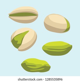 Food Various Pistachio Vector Illustration