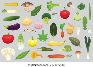 Food Various Vegetable Mushroom Green Vegetarian Nutrition Illustration Vector