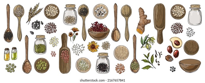 Food vector Beans, spices, medicine, peas