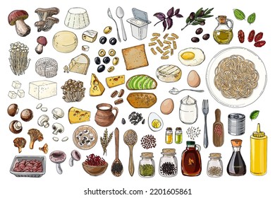 Food vector color sketch. Dishes, pasta, food, cheese, mushrooms, dairy products