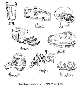 Food vector drawings set on white background. Vector illustration.