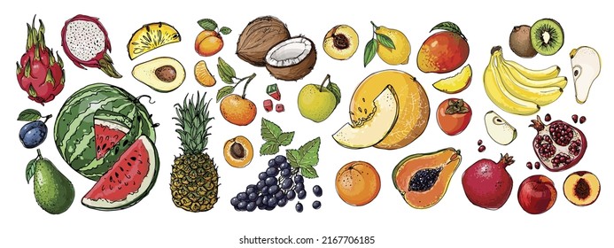 Food vector Exotic fruits, orange, lemon, apple, berries