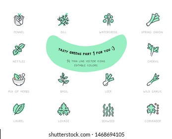 Food Vector Flat Line Icon Illustration Set. Green products, herbs. Editable colors. Fennel, nettles, herb mix, laurel, lovage, basil, dill, watercress, leek, seaweed, coriander, wild garlic, chervil.