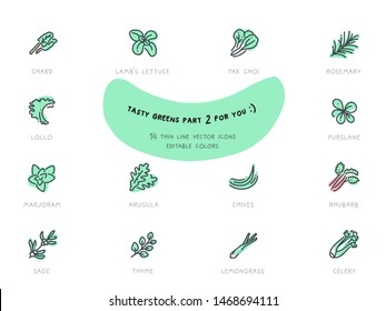 Food Vector Flat Line Icon Illustration Set. Green products, herbs. Editable colors. Chard, lamb’s lettuce, marjoram, sage, thyme, lemongrass, chives, rosemary, purslane, rhubarb, celery. 