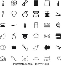 food vector icon set such as: moving, stone, wooden, toasted, platter, one, bee, spatula, shape, piglet, boxes, cap, circle, iron, toast, barbecue, hat, cereal, milk, osteoporosis, refrigerator