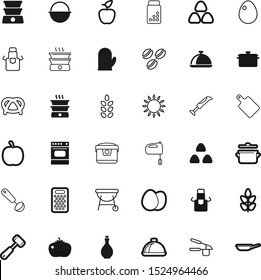 food vector icon set such as: tomatoes, dessert, raw, coffe, cut, chicken, bakery, multicooker, multi, accessory, tasty, salty, shell, blue, spica, outdoor, web, travel, medication, tenderizer