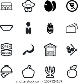 food vector icon set such as: traditional, sale, no, sushi, close, graphic, facade, cooking, prohibited, hat, serve, ban, cartoon, catering, autumn, diet, raw, soup, light, equipment, payment