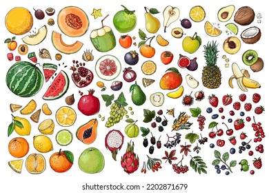 Food vector icons color sketch. Fruits, berries, exotic food, citrus fruits. Orange, coconut, cherry