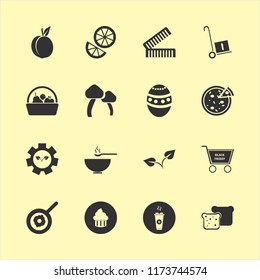 food vector icons set. with fried egg, combs, sprout and peach in set